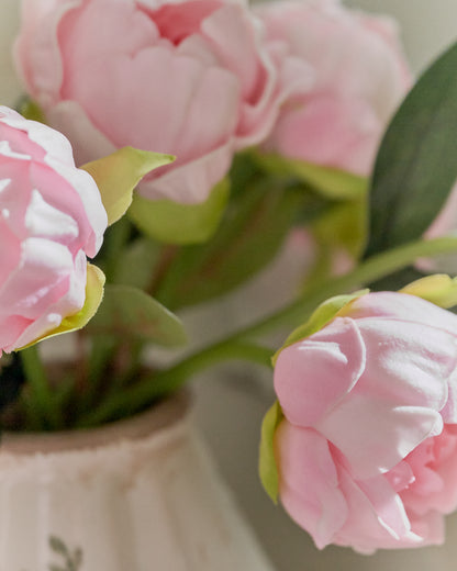 Peony Bundle Pink close up in vase