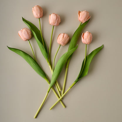 Real Touch Tulip Bundle (Peach) sprinkled separately