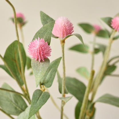 Pink Thistle Spray up close