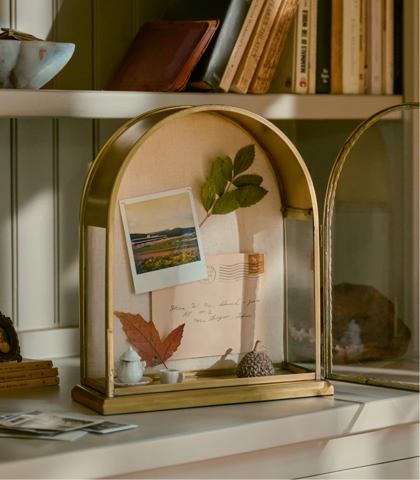 A gold-framed glass display case on a shelf, styled with a pressed leaf, a small landscape photo, an envelope, and dried botanical elements against a warm beige backdrop.