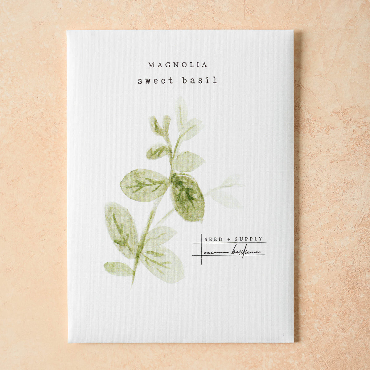 Watercolor Magnolia Seeds sweet basil