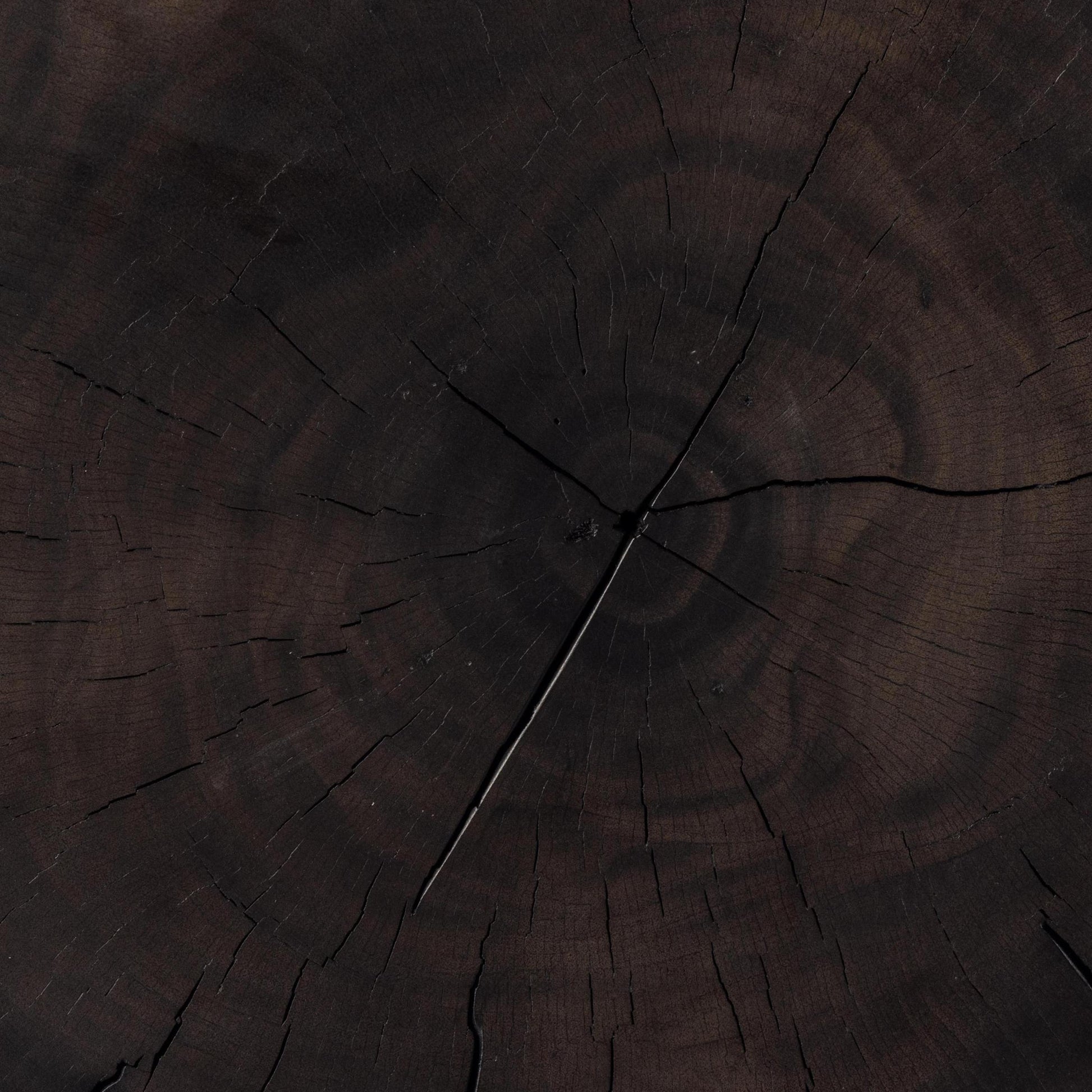 Ferris End Table close up of wood