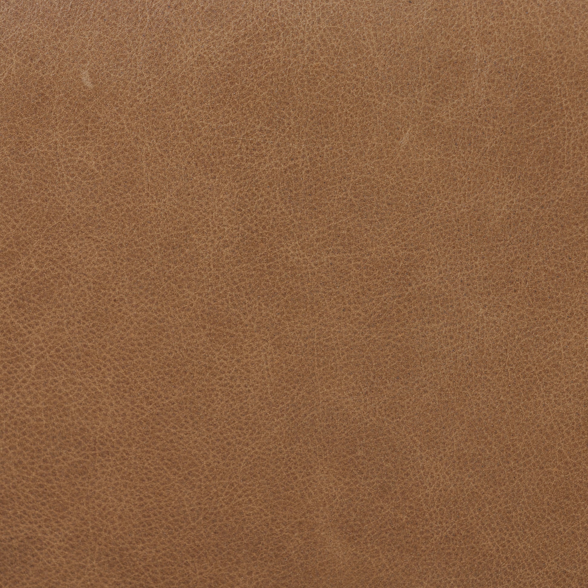 Jeremiah Accent Bench Top Grain Leather fabric swatch