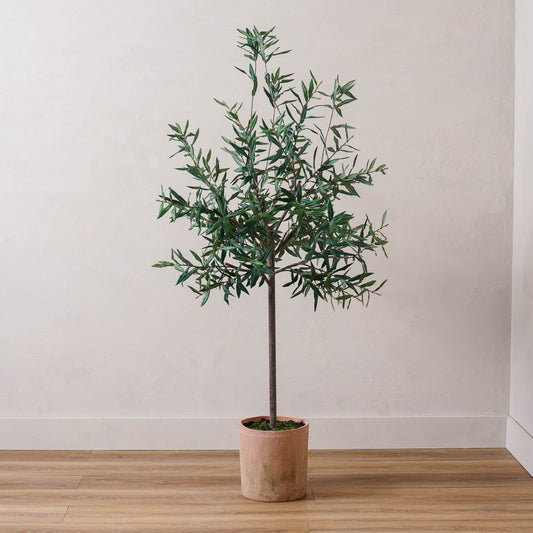 70" Olive Tree in Clay Pot Green