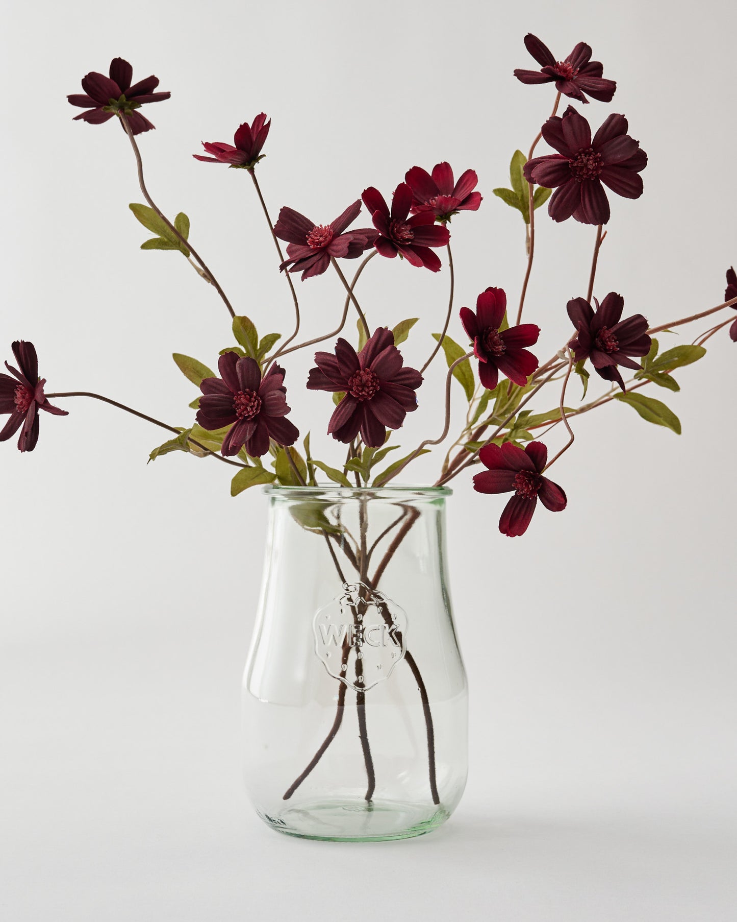 Weck 738 1 1/2 L Tulip Jar as a vase