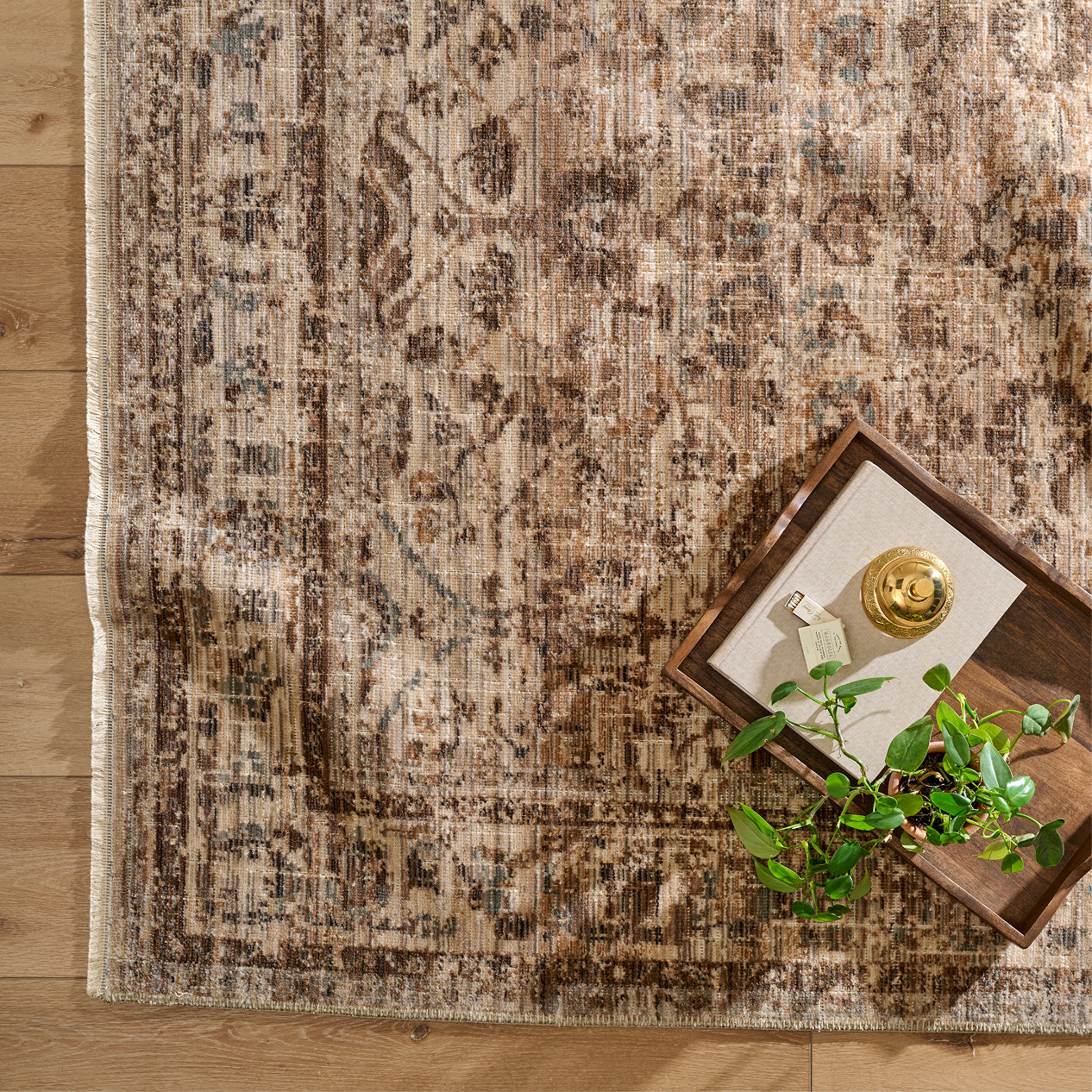 Patterned rug on a wooden floor with a decorative tray and plant.