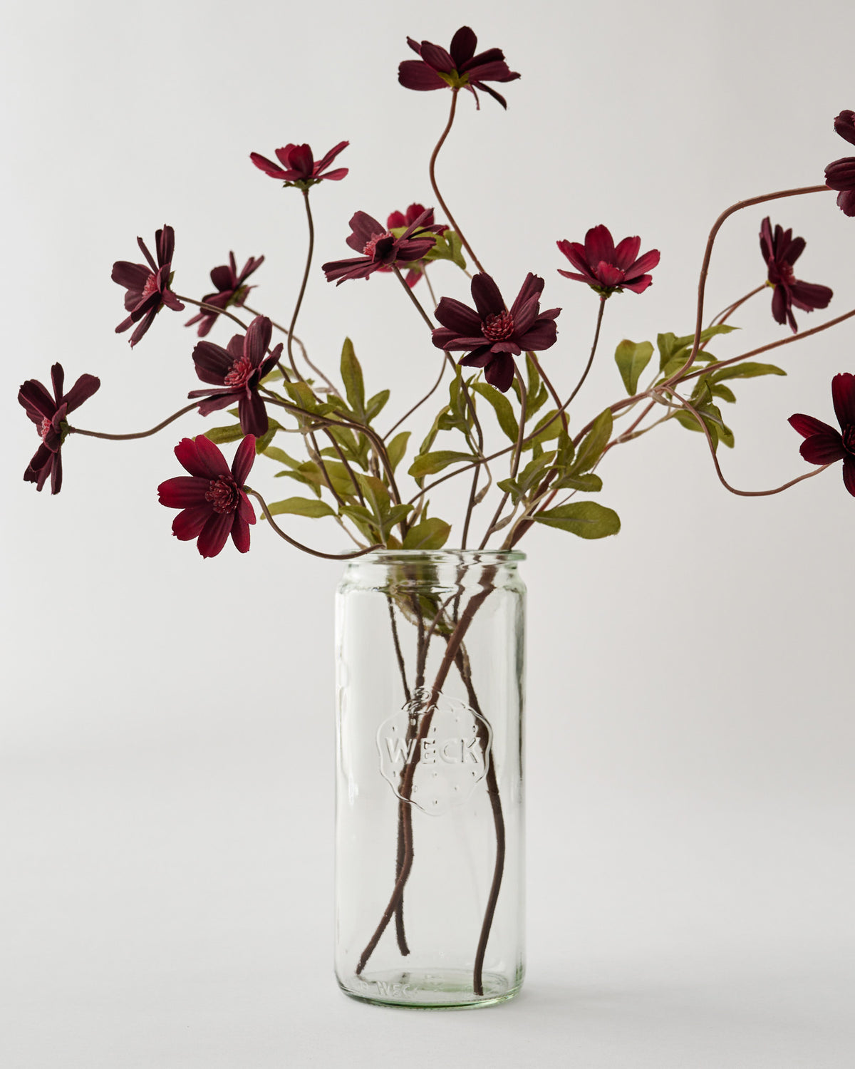 Weck 908 1 L Cylindrical Jar as a vase
