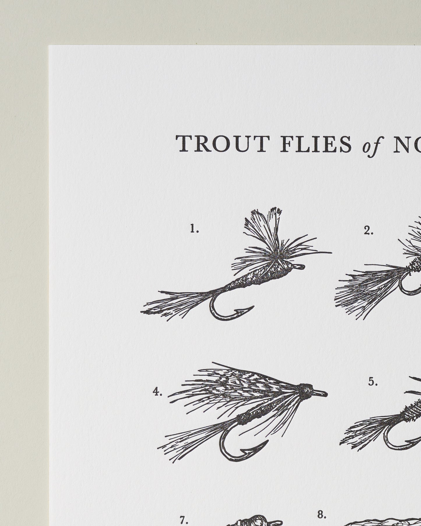 Guide To Trout Flies Print