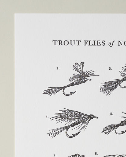Guide To Trout Flies Print