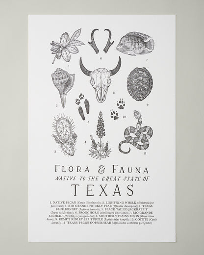 Texas Field Guide Print