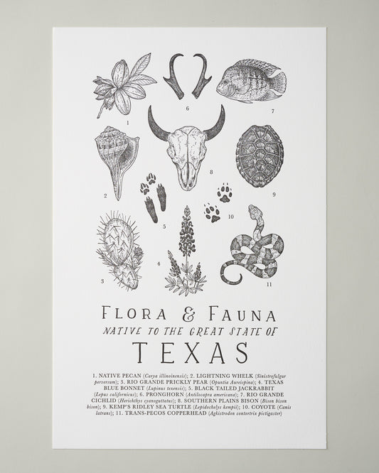 Texas Field Guide Print