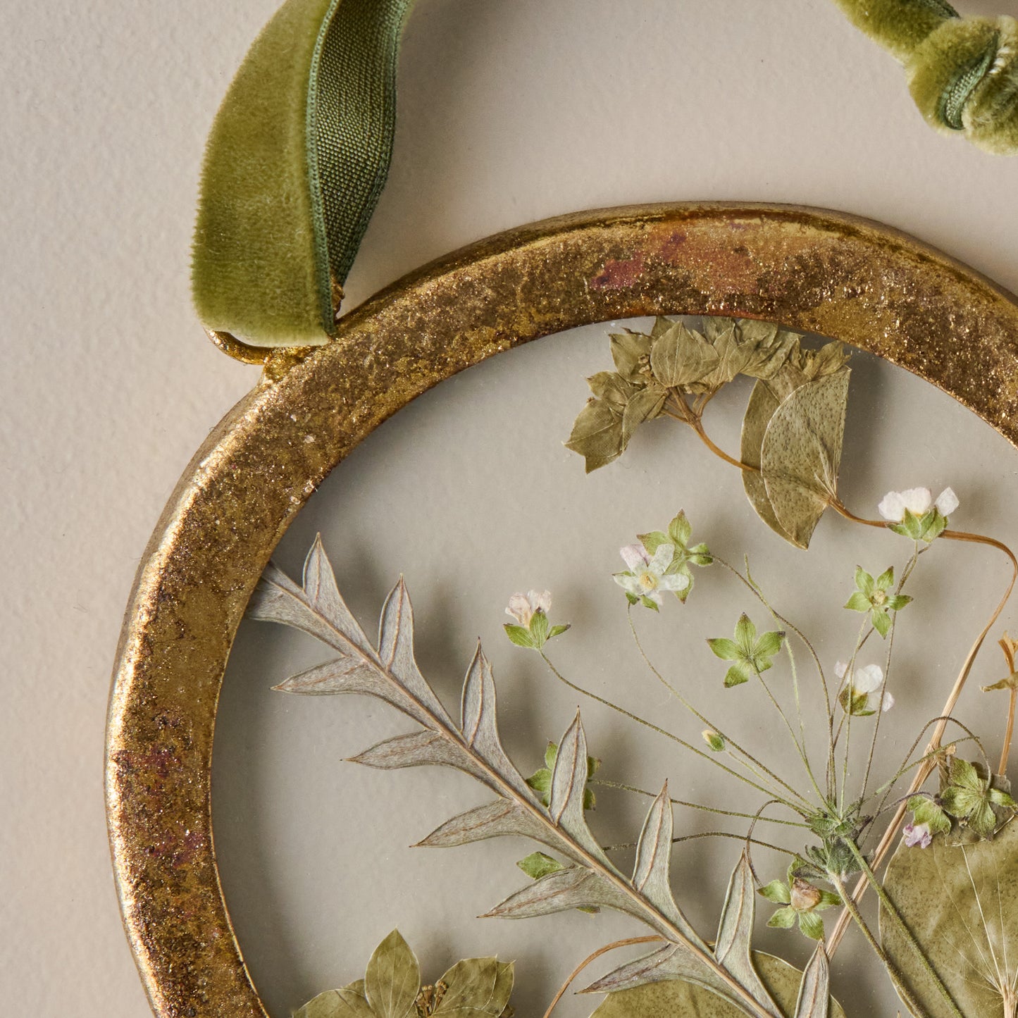 Framed Pressed Floral Ornament up close