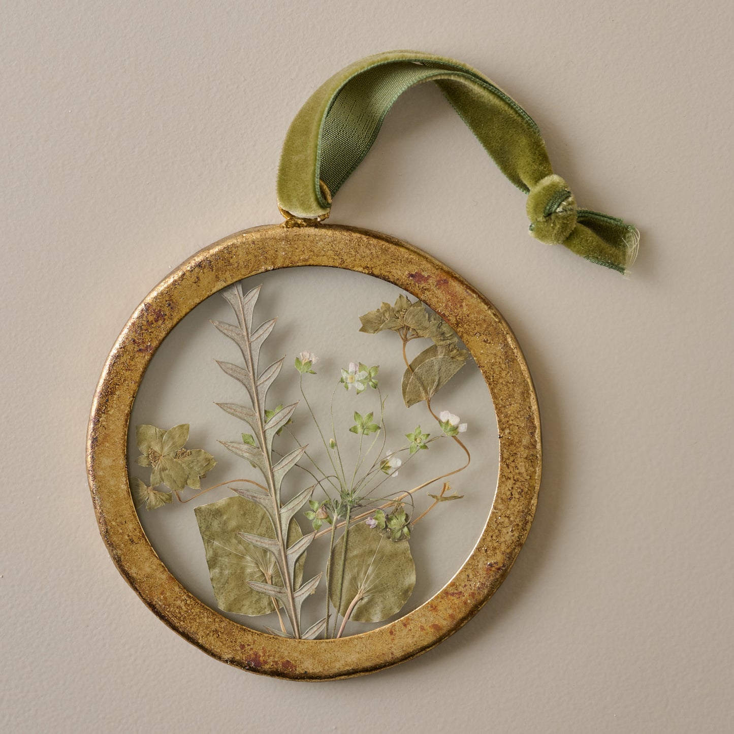 Framed Pressed Floral Ornament