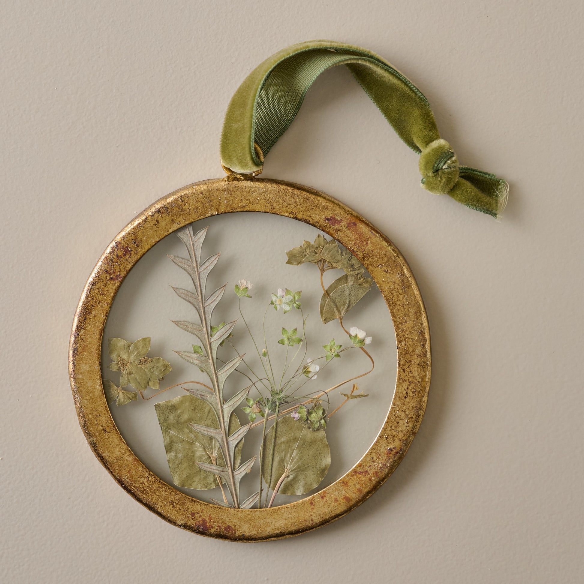 Framed Pressed Floral Ornament
