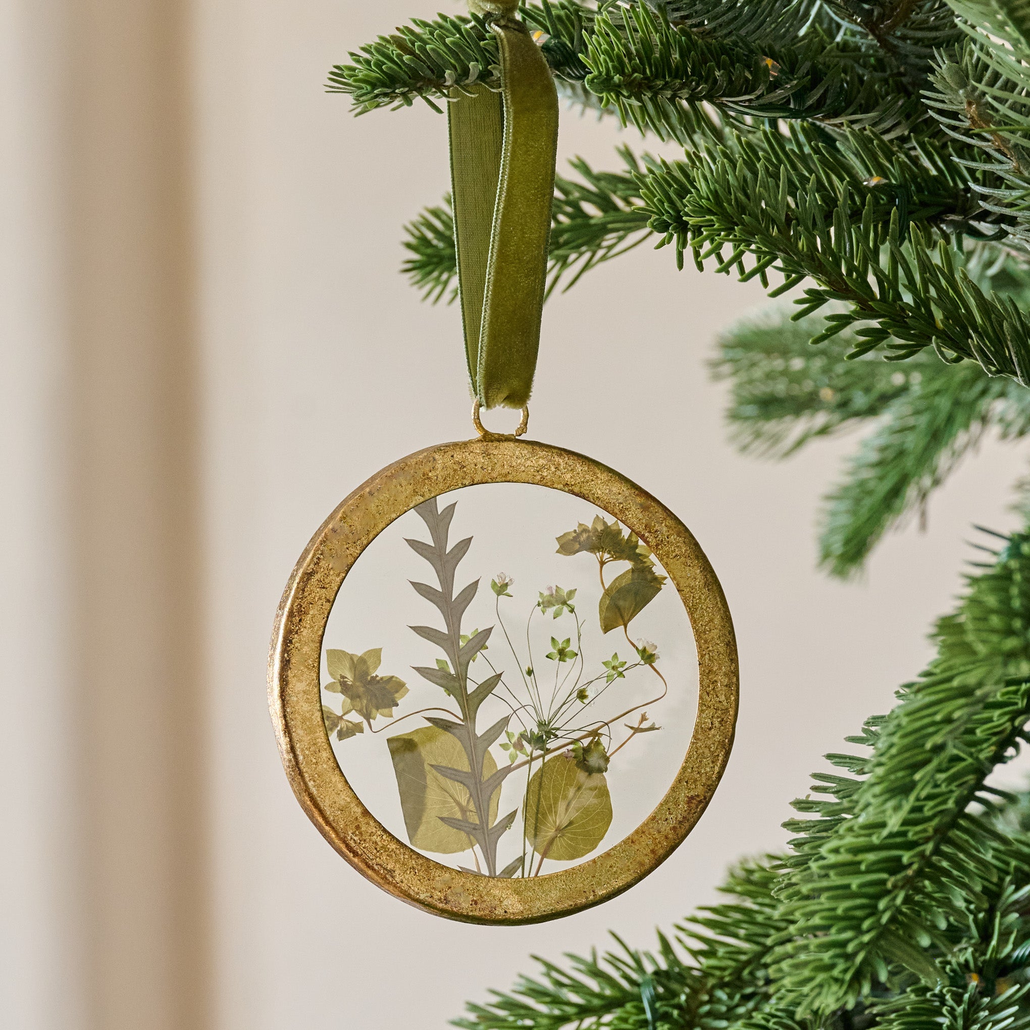pressed floral glass ornament hanging from a holiday tree branch