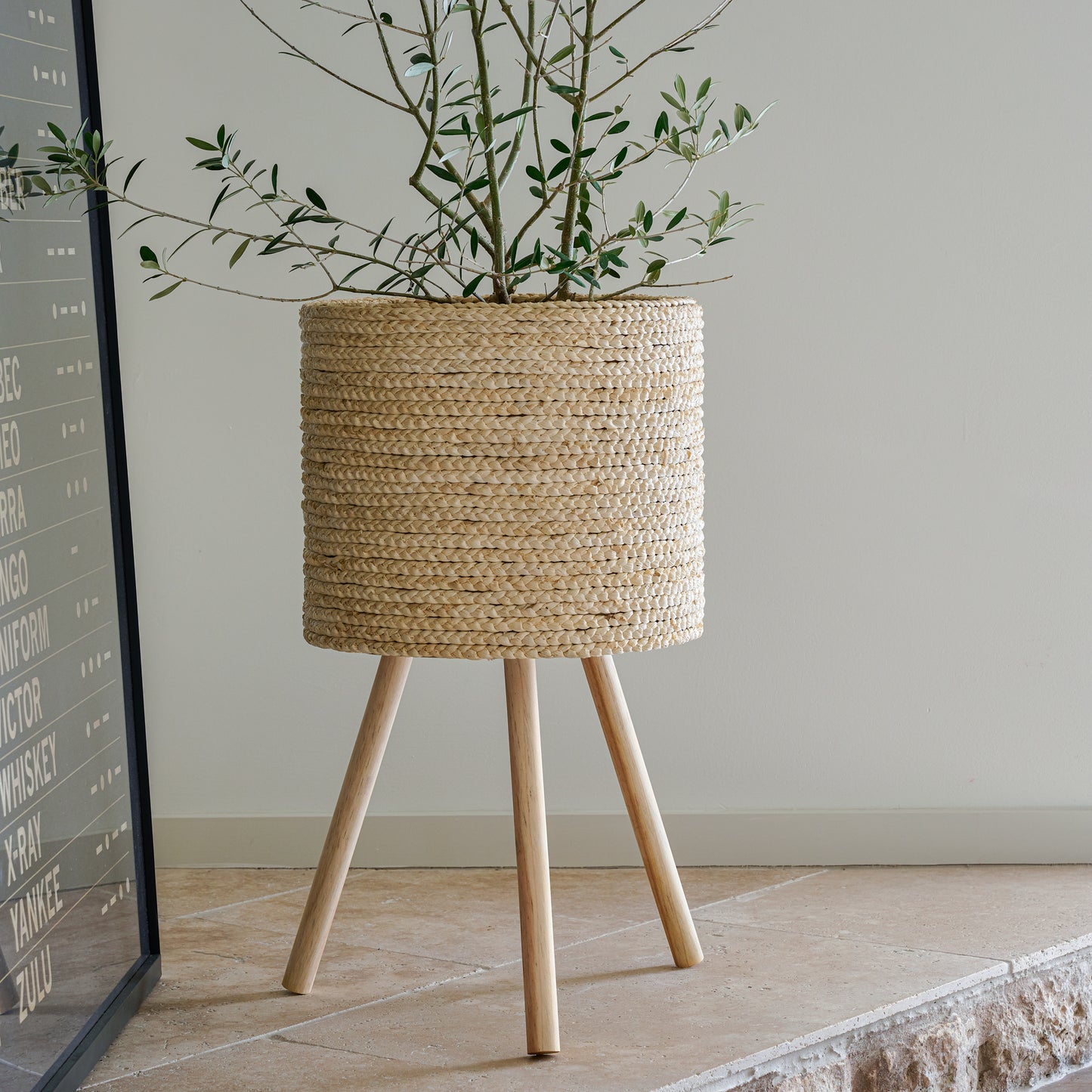 Bleached Woven Plant Stands with an olive plant