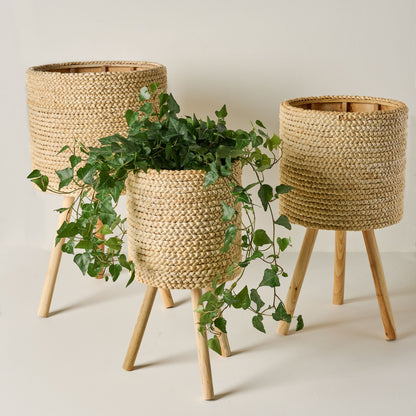 woven pots for plants Bleached Woven Plant Stands
