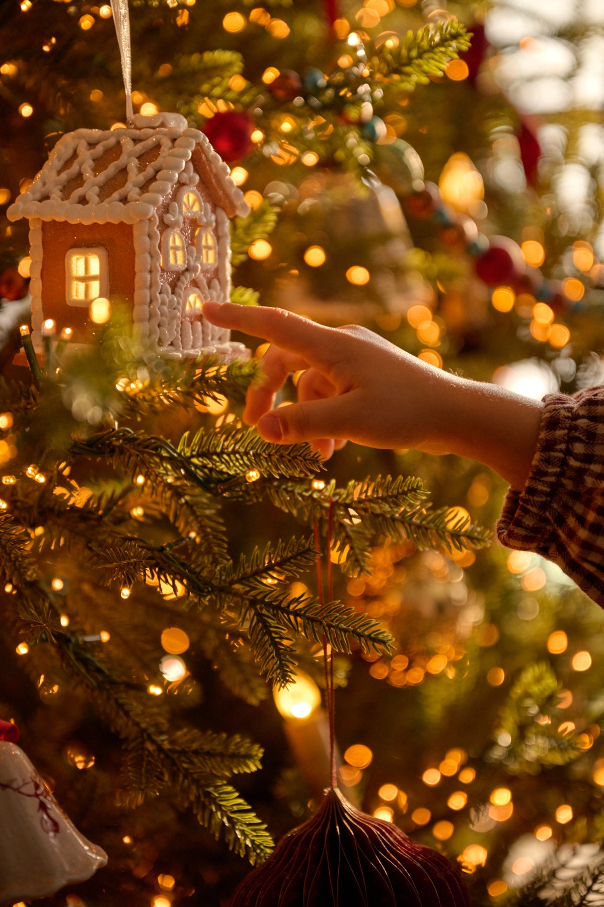 Gingerbread House Ornament on a tree