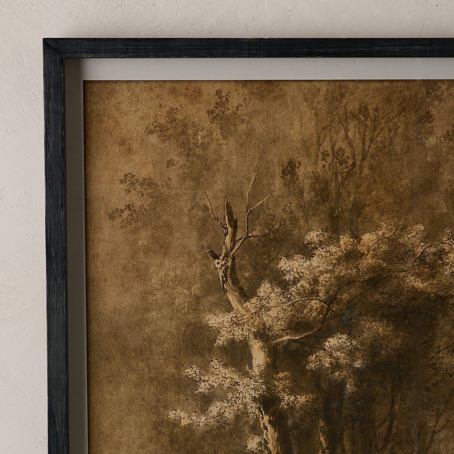 Oversized Whispers of the Oak Framed Print corner up close