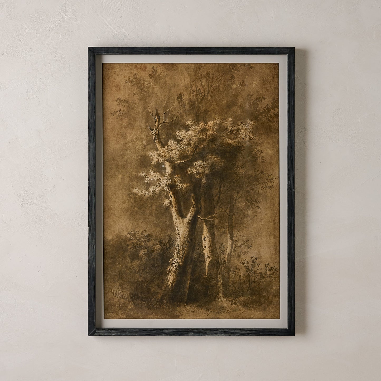 Oversized Whispers of the Oak Framed Print