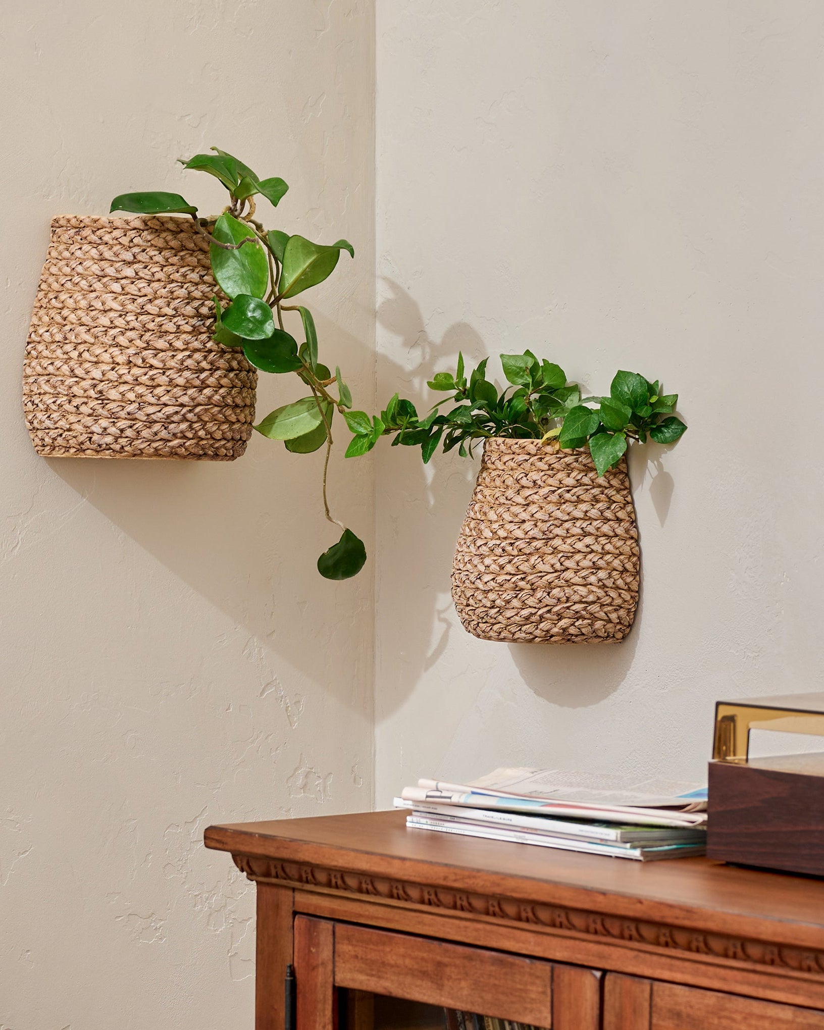 Tucker Woven Wall Planters shown with plants