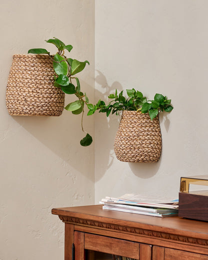 Tucker Woven Wall Planters shown with plants