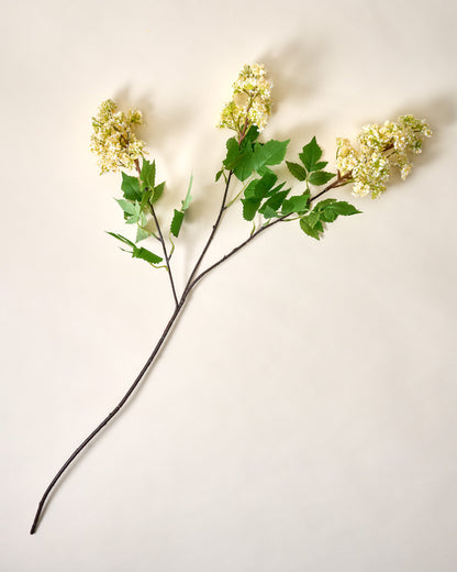 Crepe Myrtle Spray