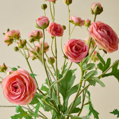 Ranunculus Bloom Bundle (Pink) close up view