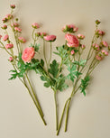  Ranunculus Bloom Bundle (Pink) spread out