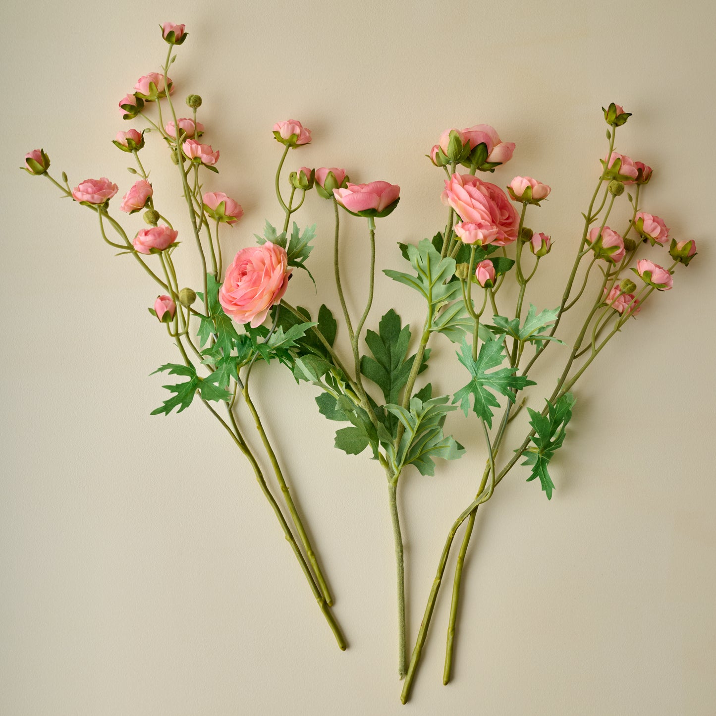  Ranunculus Bloom Bundle (Pink) spread out