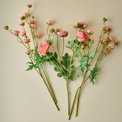  Ranunculus Bloom Bundle (Pink) spread out
