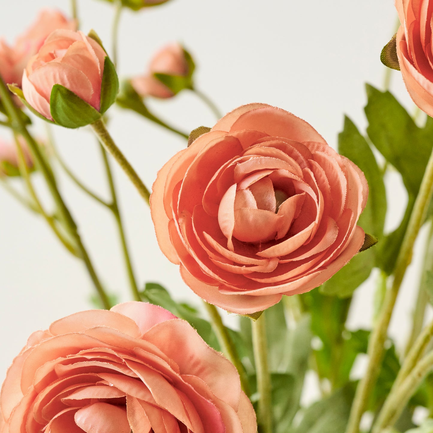 Coral Ranunculus Bloom Bundle up close