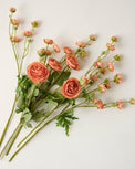Coral Ranunculus Bloom Bundle