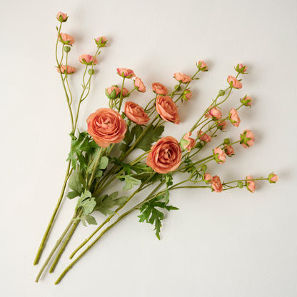 Coral Ranunculus Bloom Bundle