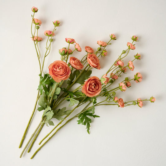Coral Ranunculus Bloom Bundle