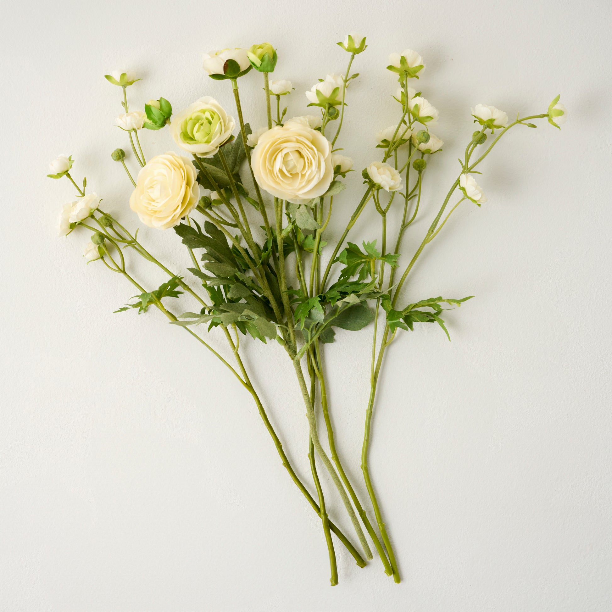 White Ranunculus Bloom Bundle