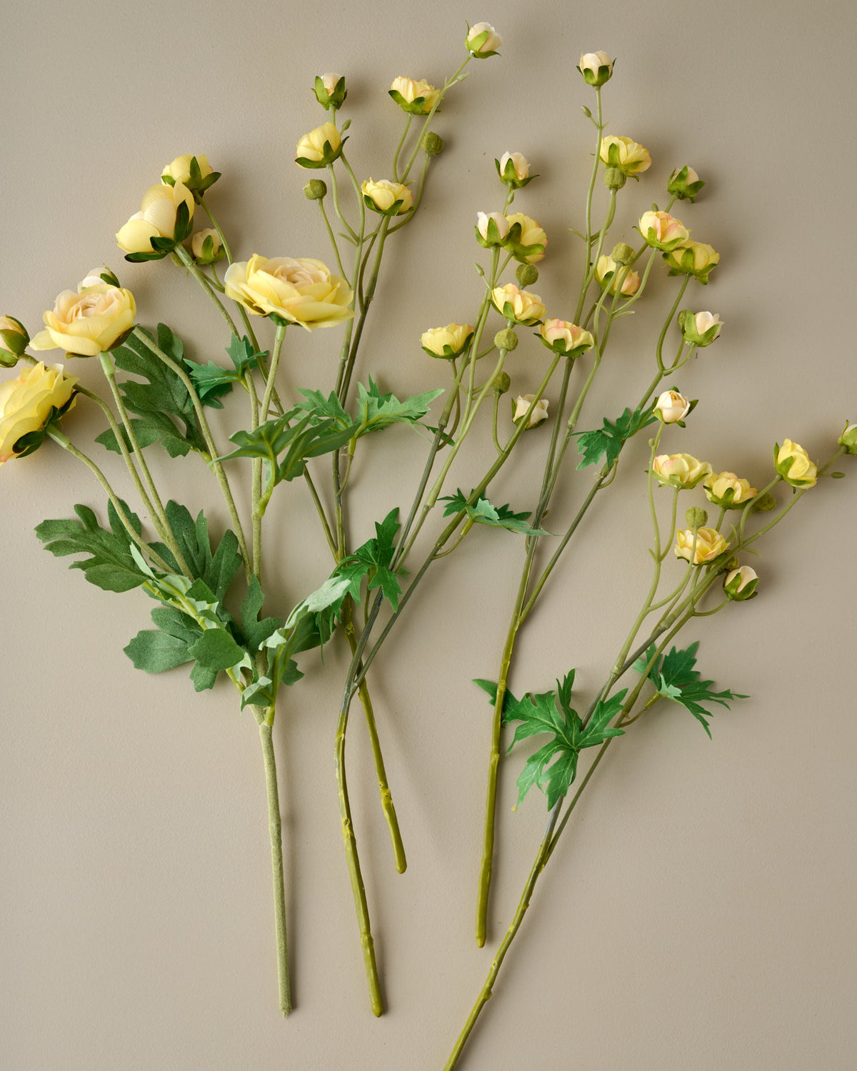  Ranunculus Bloom Bundle (Yellow) spread out