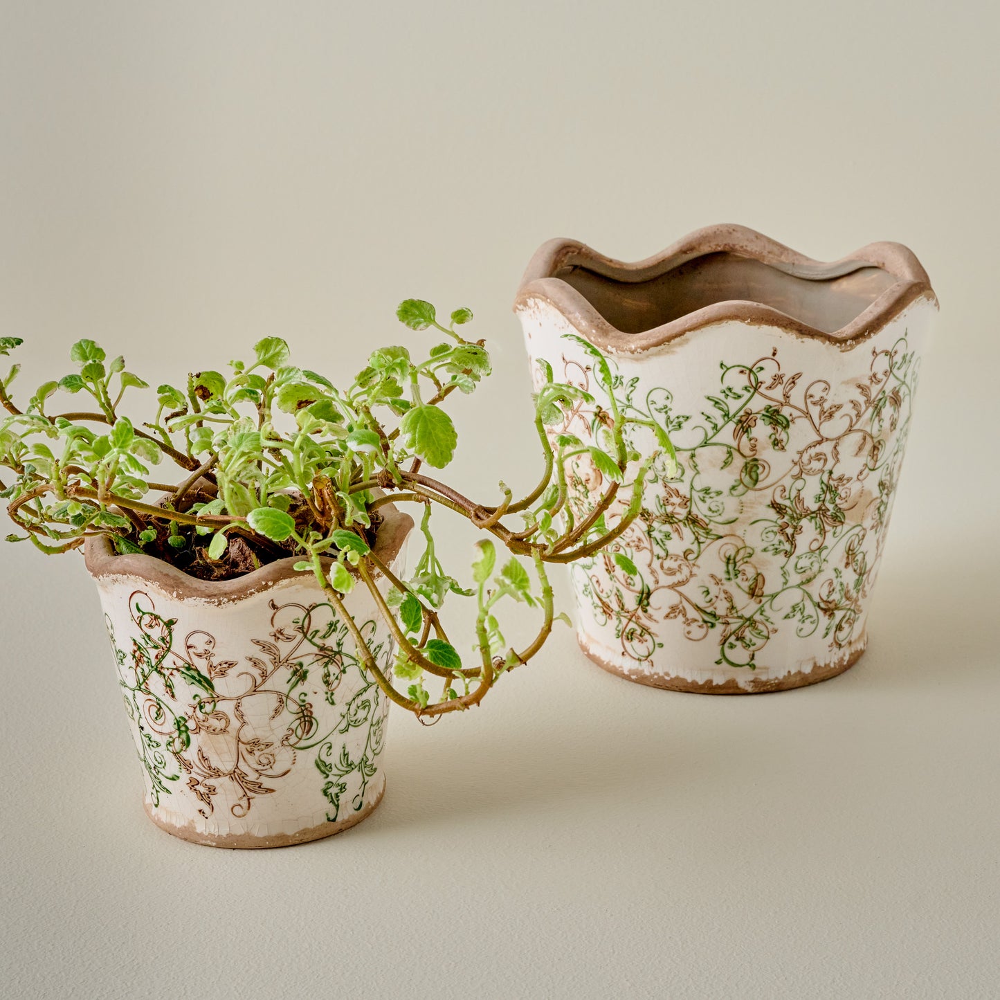 Green Scalloped Distressed Planters