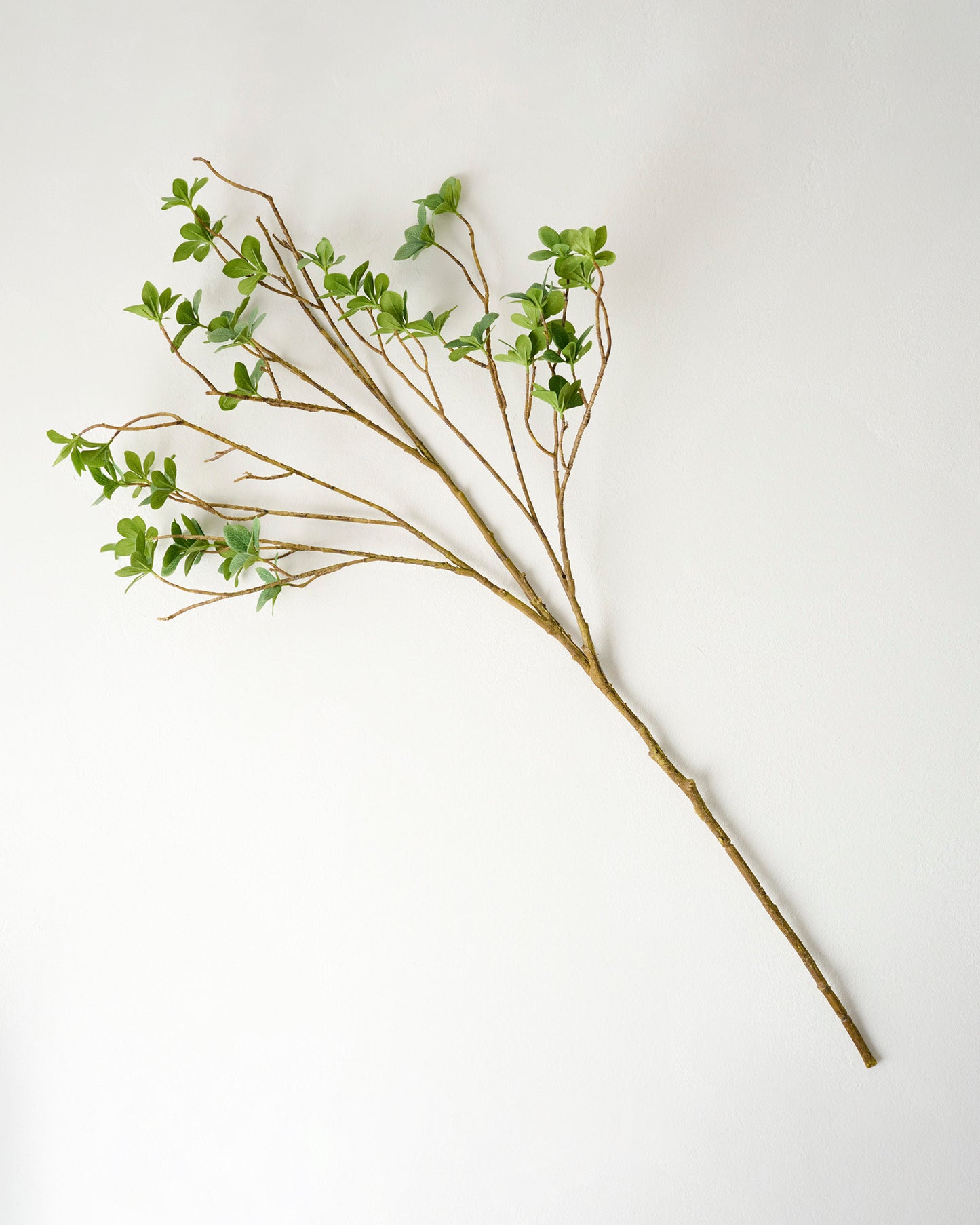 Oversized Green Leaf Branch