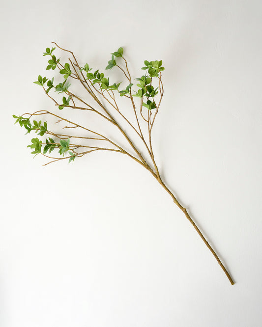 Oversized Green Leaf Branch