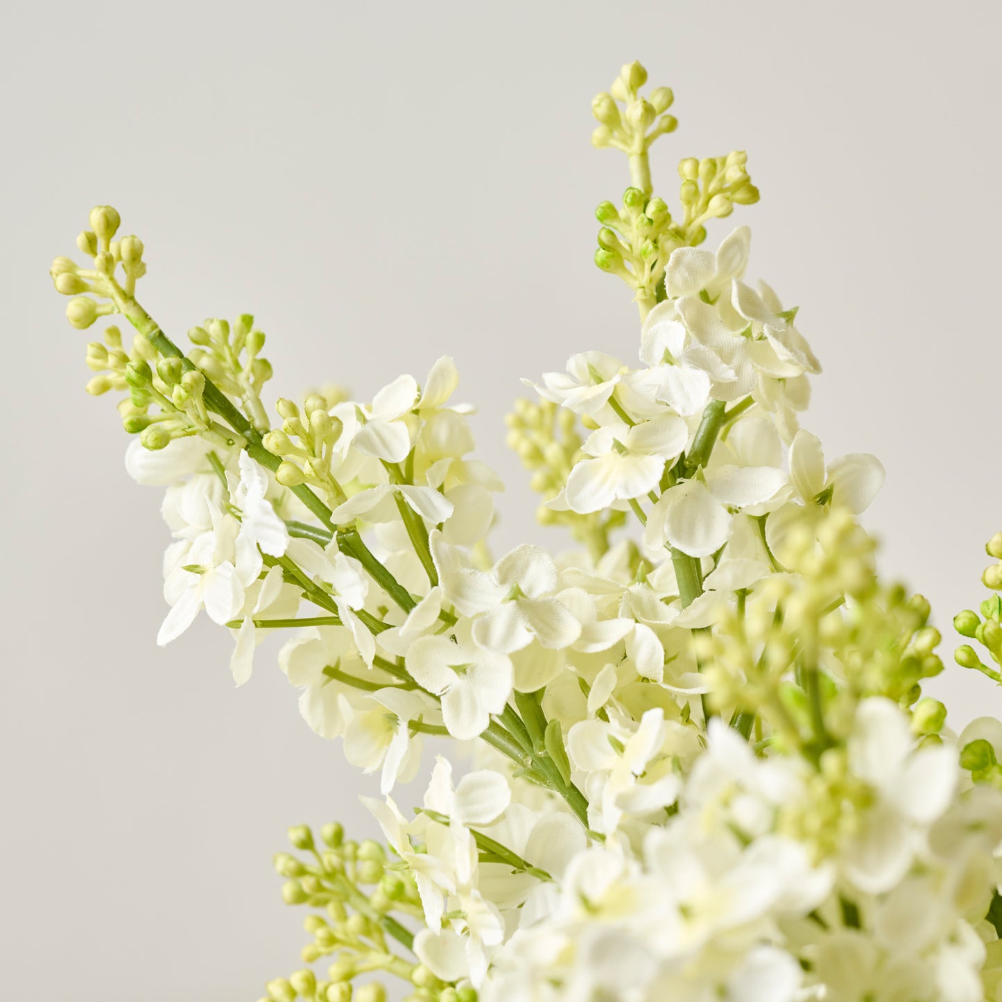 White Lilac Bundle up close