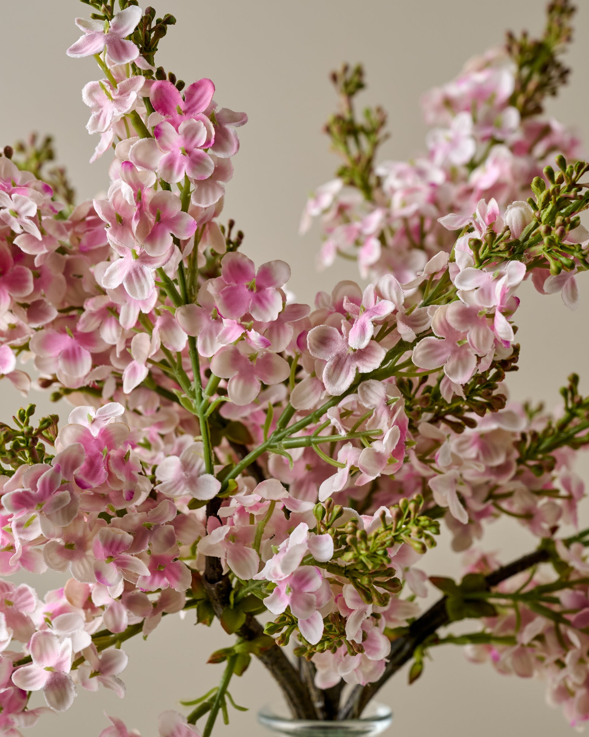 Lilac Bundle – Magnolia