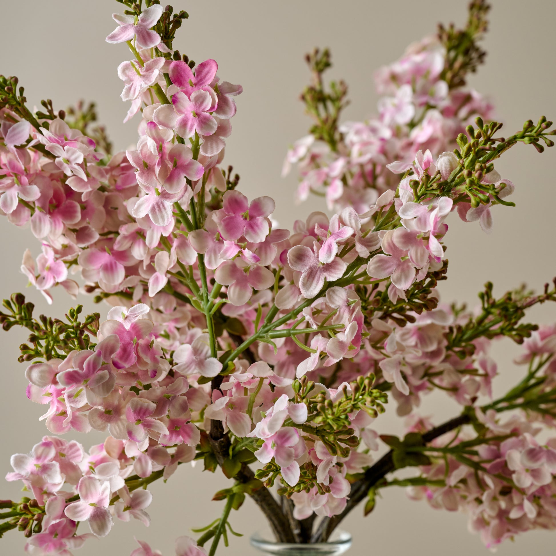 Pink Lilac Bundle close up view