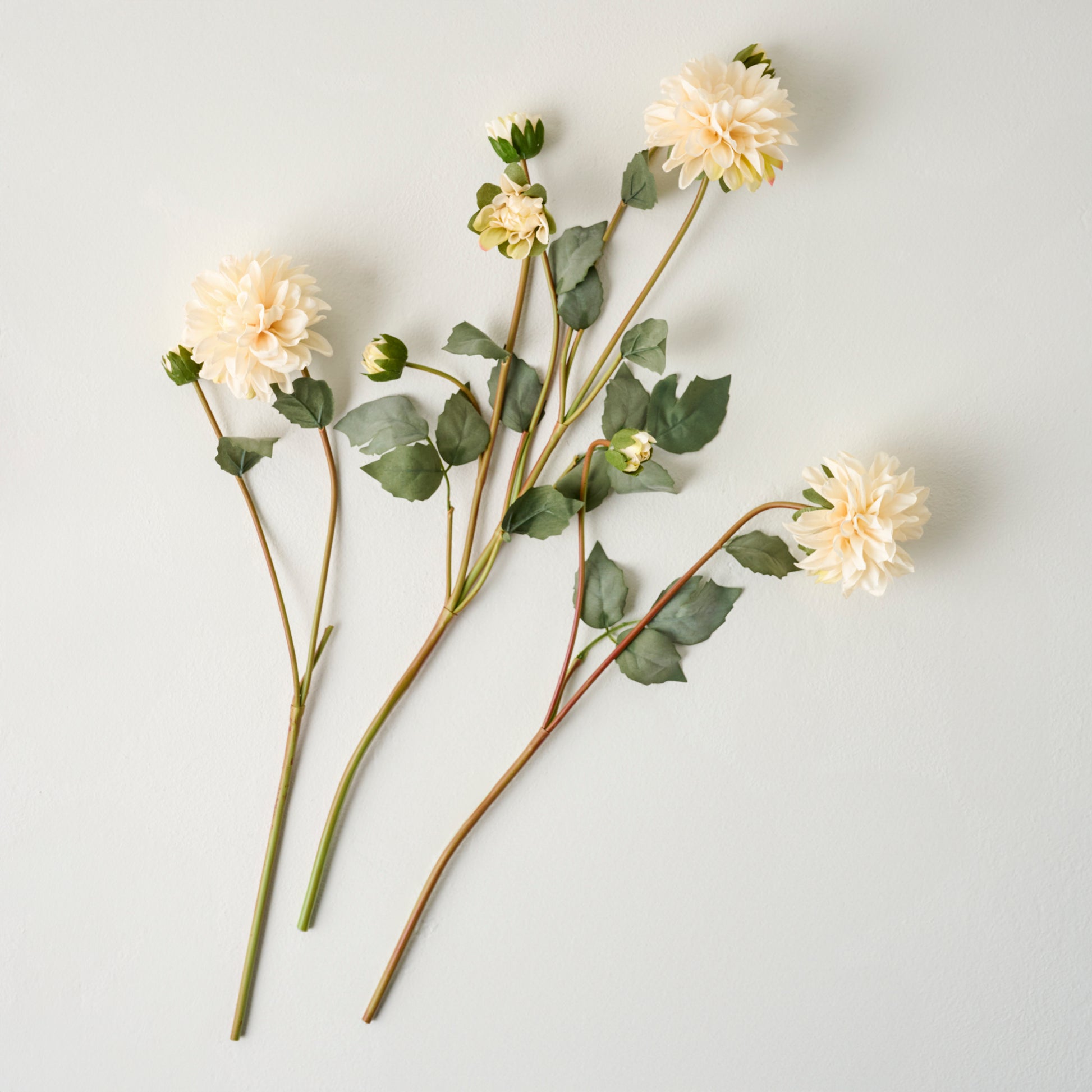 White Dahlia Bloom Bundle