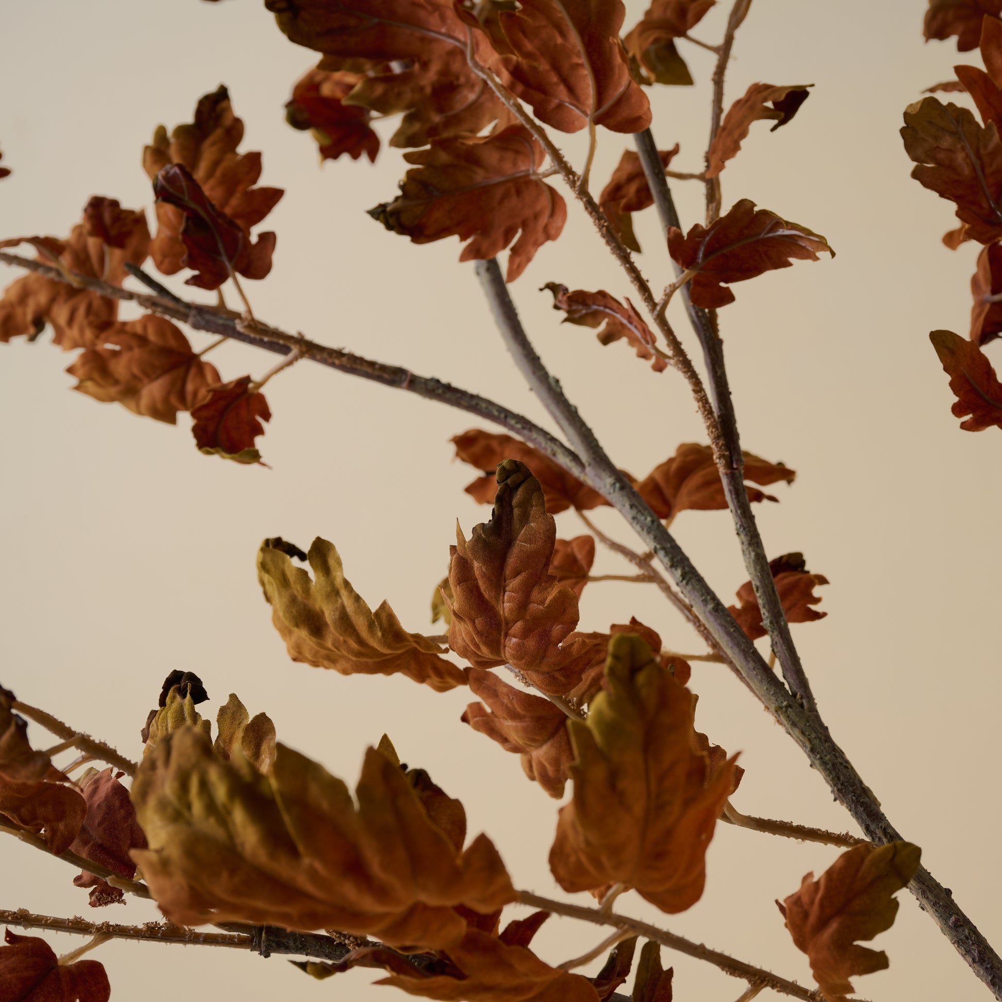 Oversized Oak Leaf Branch up close