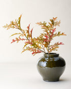 Oak Leaf Branch