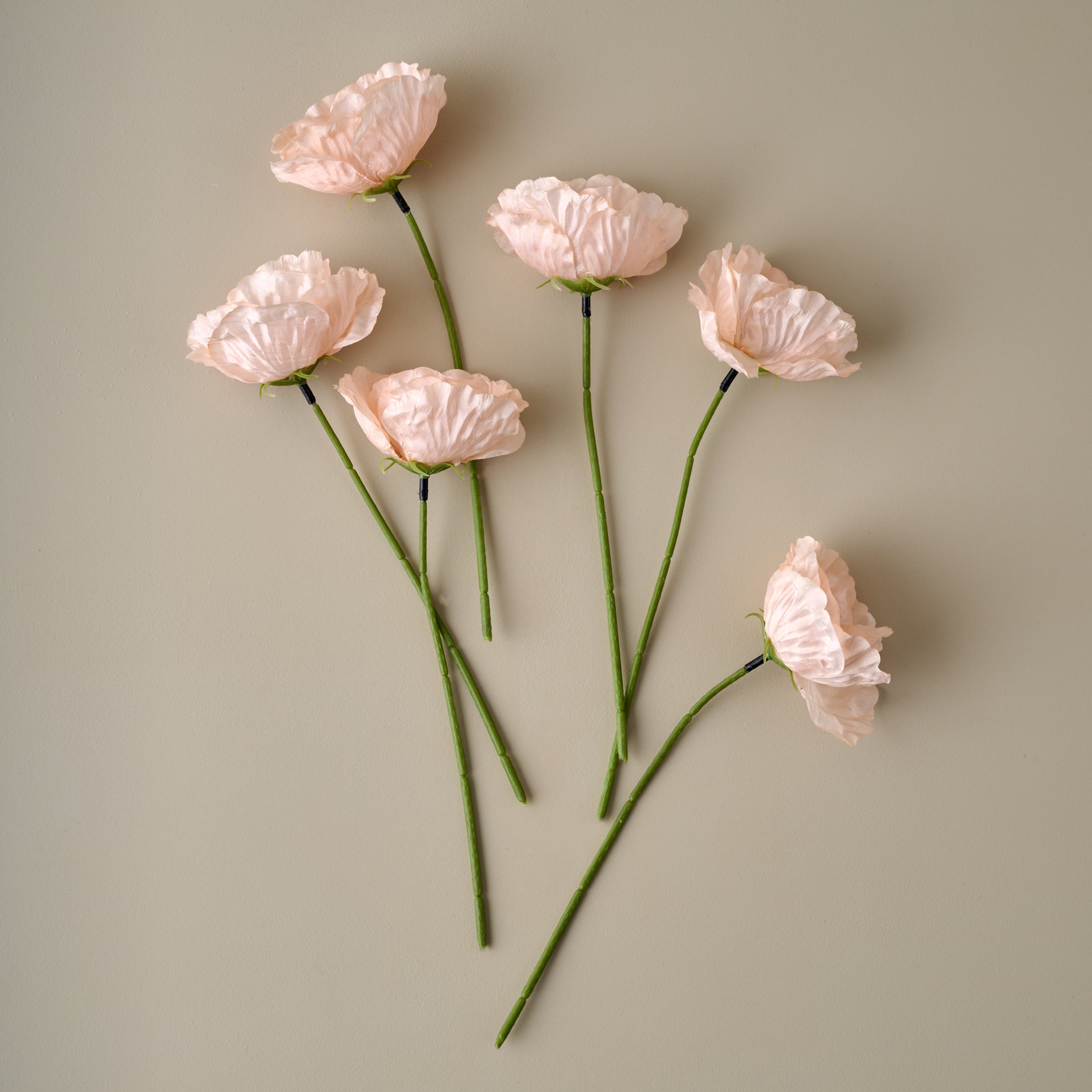 Anemone Bouquet – Magnolia