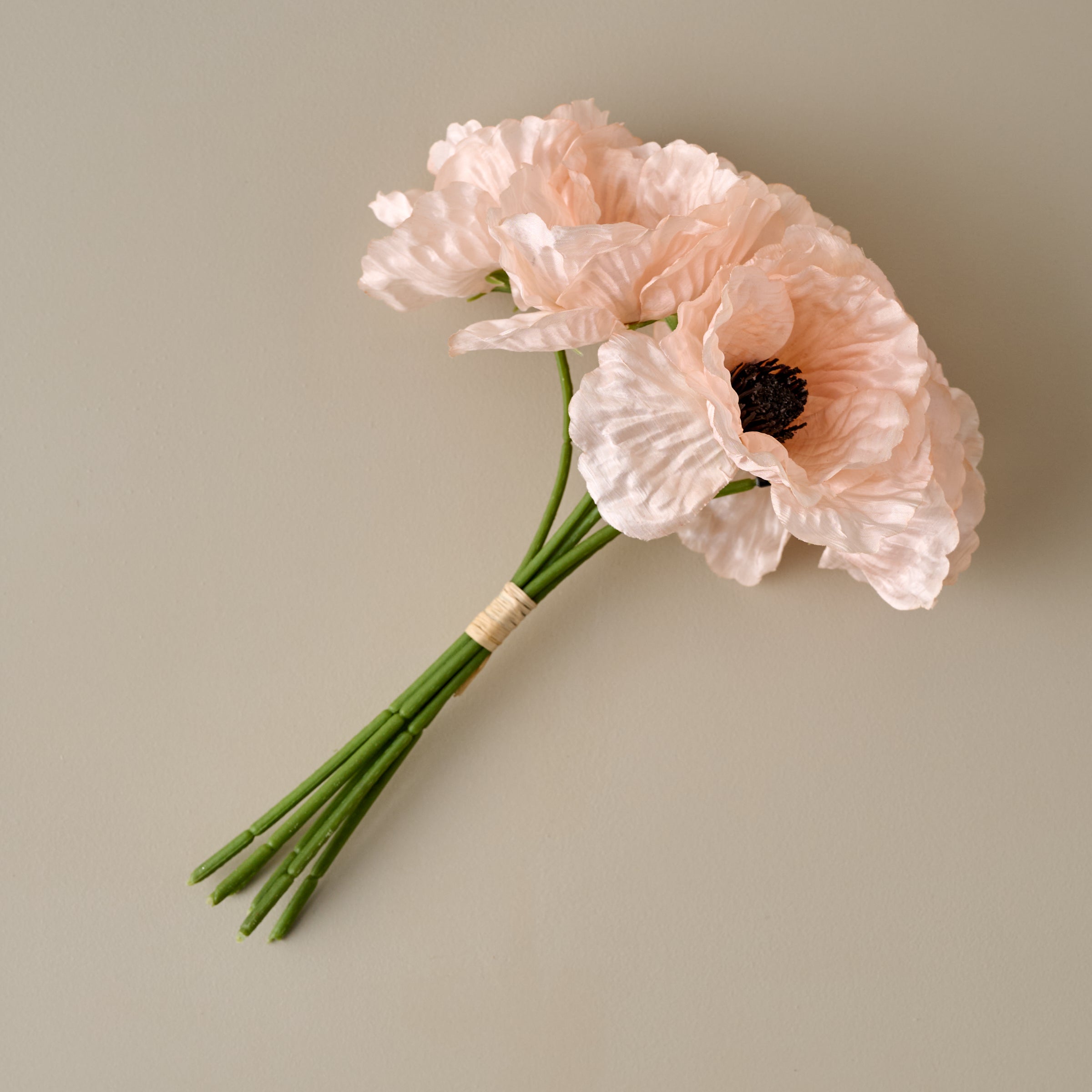 Anemone Bouquet – Magnolia