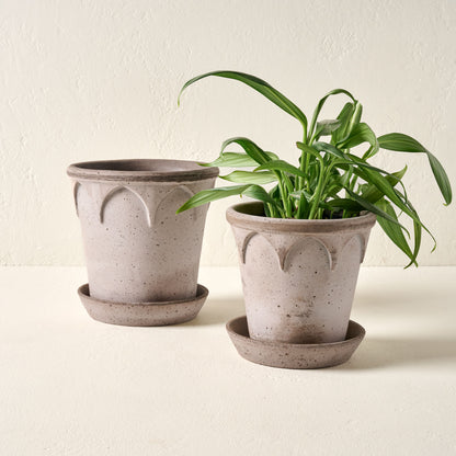 Small and Large Arched Bergs Pots shown with plant