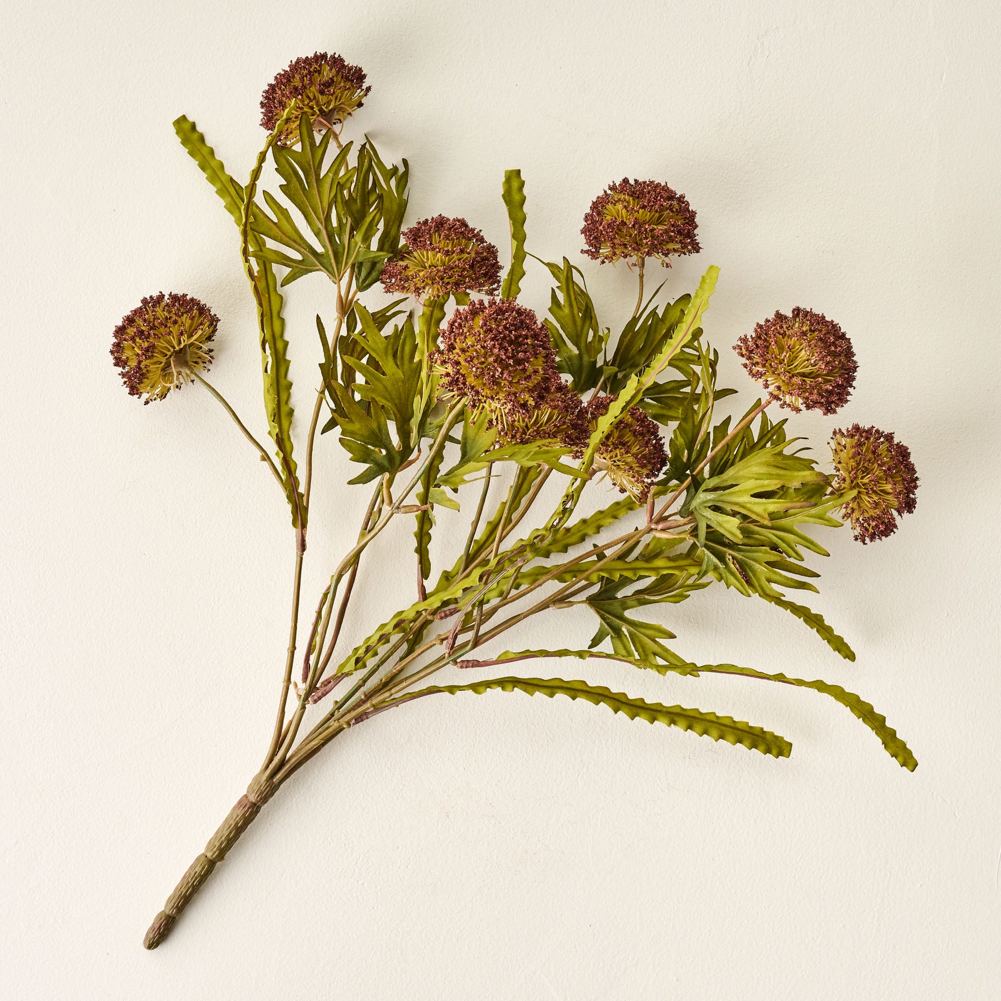 Brown Large Thistle Bush